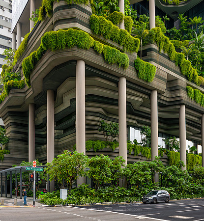 Singapore 12
