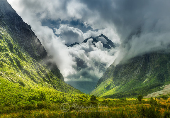 Fiordland National Park 2