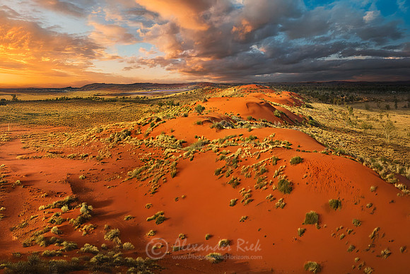 Simpson Desert 6