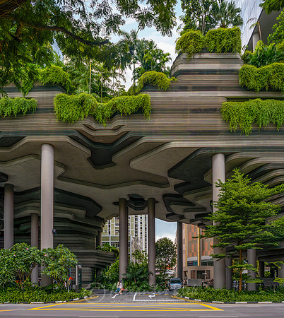 Singapore 11