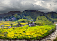 Sapa 1