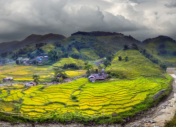 Sapa 1