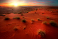 Simpson Desert 5