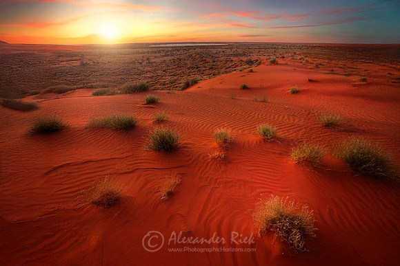 Simpson Desert 5