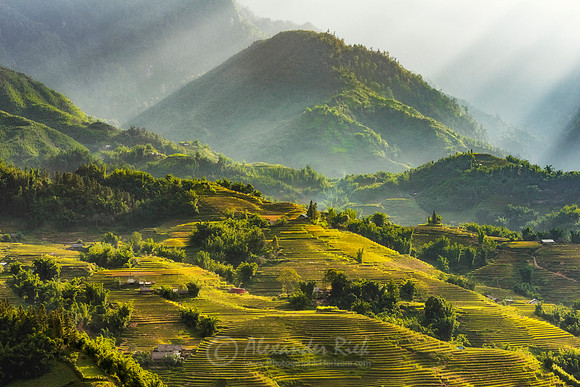 Sapa 8