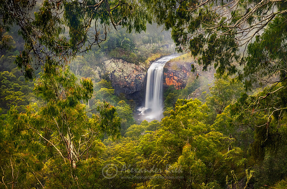 Ebor Falls