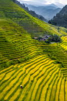 Sapa 14