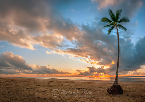 Mission Beach 3