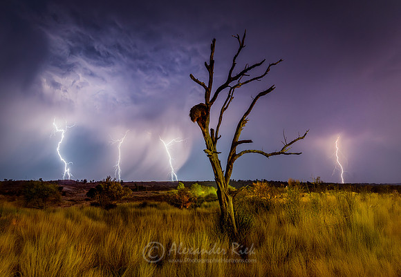 Kalahari 1