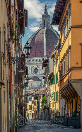 Florence 3