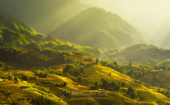 Sapa 7