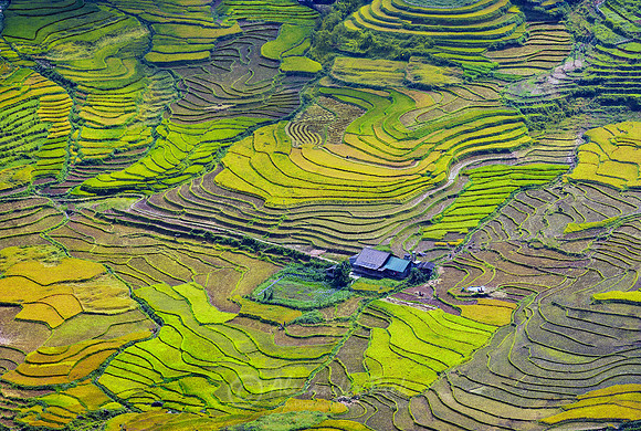 Sapa 3