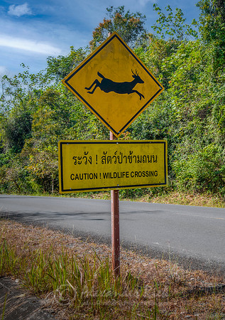 Wildlife